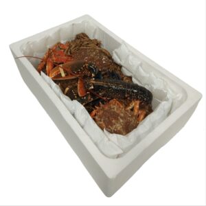 Gel refrigerante ICEPACK, GELPACK,CELLPACK, ACUMULADORES DE FRIO