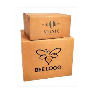 Cajas de cartón de canal doble